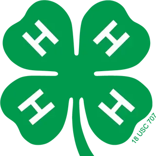 thumbnail for publication: 4-H Youth Development